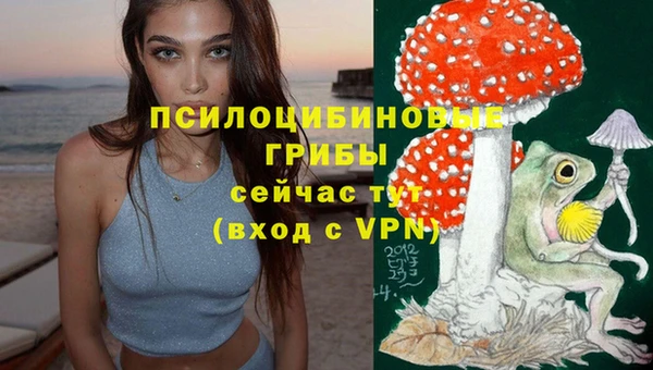 MDMA Premium VHQ Богданович