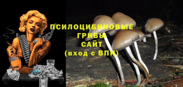 наркотики Богородицк